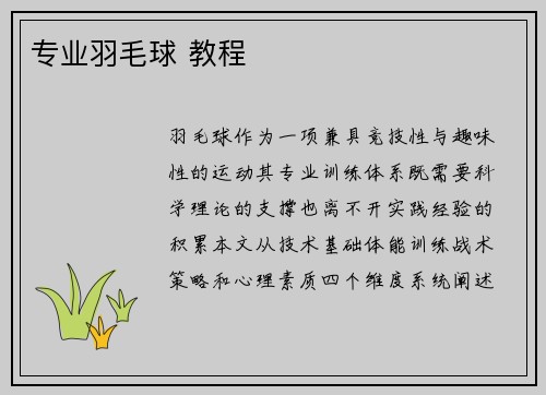 专业羽毛球 教程